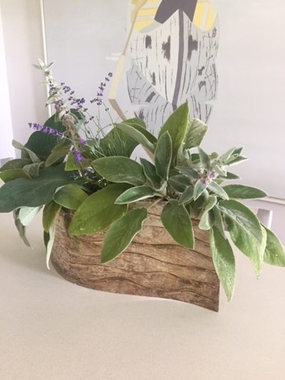 Lambs ear table arrangement
