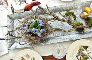Decorating with Bird Nests