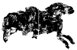 Unconventional Wisdom: Printmaker Laurie Sloan