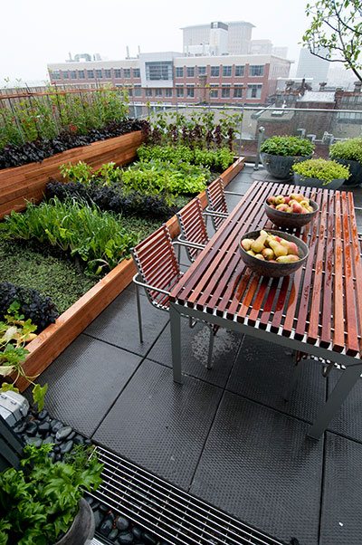 roof deck garden design