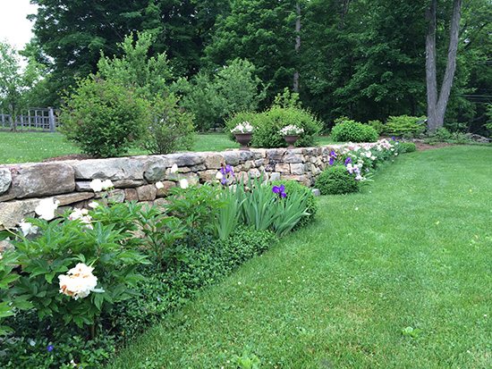 Perennial Border with Stone Wall 