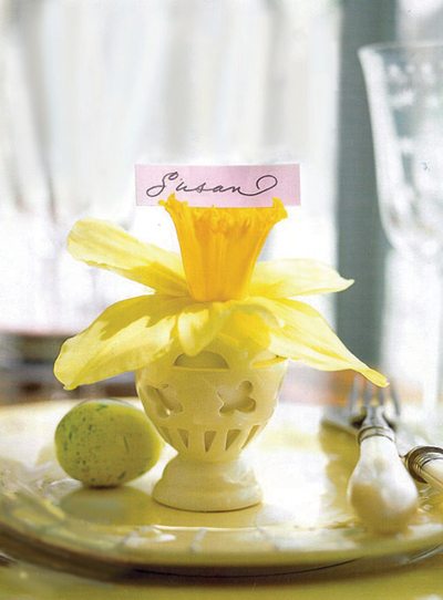 Daffodil as dessert