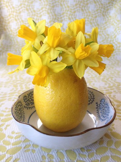 daffodils in lemon