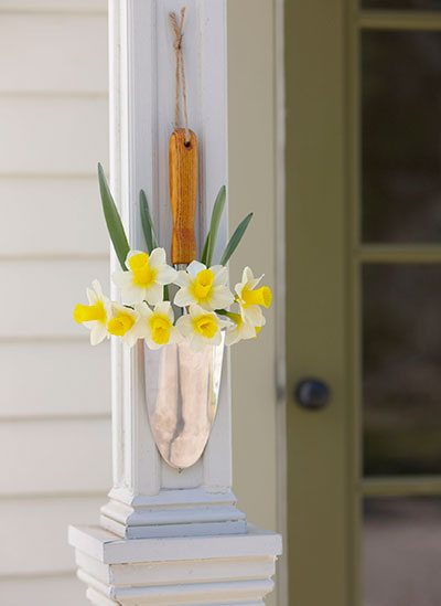 daffodils hanging with spade