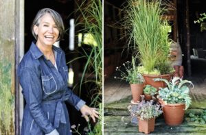 Stylish Fall Container Plantings