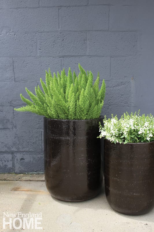 Two black pots potted with green plants. There's a brick wall that has been painted gray in the background.
