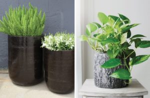 A Primer for Urban Gardeners