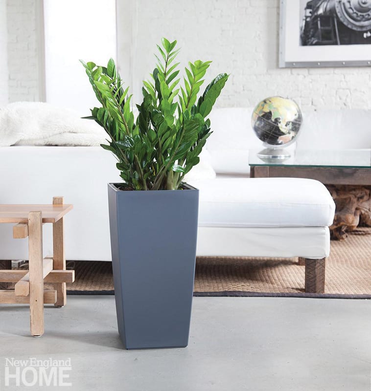 A tall gray container with a green plant. In the background is a white sofa.