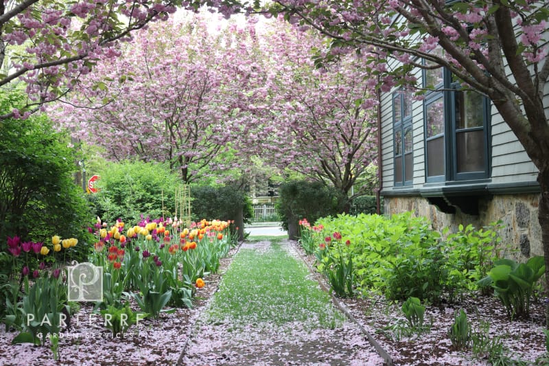 beautiful garden all year long arbor tulips walkway